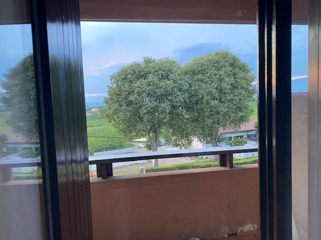 10 Minuti Dal Lago Di Garda E Da Gardaland Castelnuovo del Garda Dış mekan fotoğraf